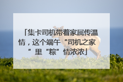 集卡司机带着家属传温情，这个端午“司机之家”里“粽”情浓浓